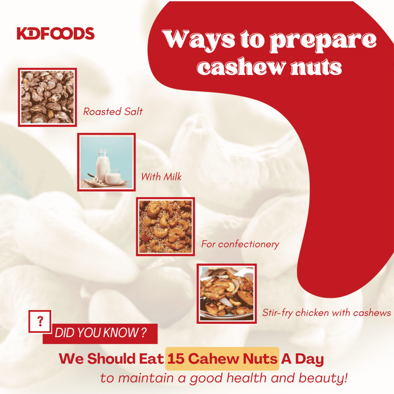 KDFOOD Vietnam Premium Roasted Cashew Nuts Jumbo XL Size 500G - JoonaCare.Shop